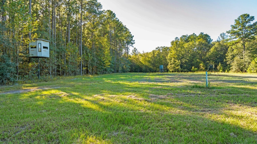 Flatwoods Trail Plantation Photo