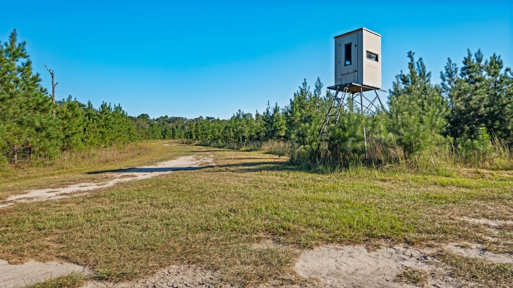 Flatwoods Trail Plantation Photo