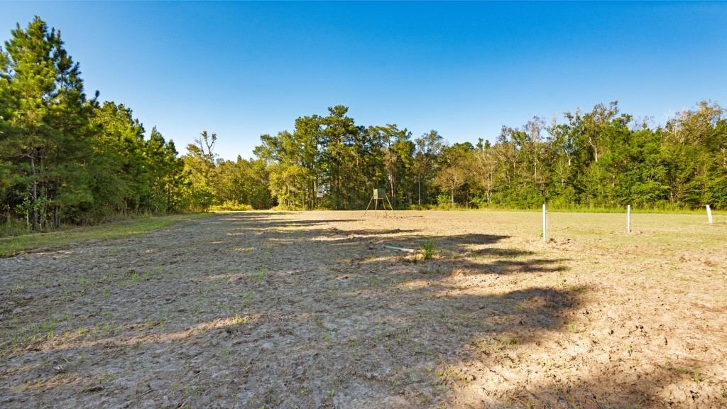 Flatwoods Trail Plantation Photo