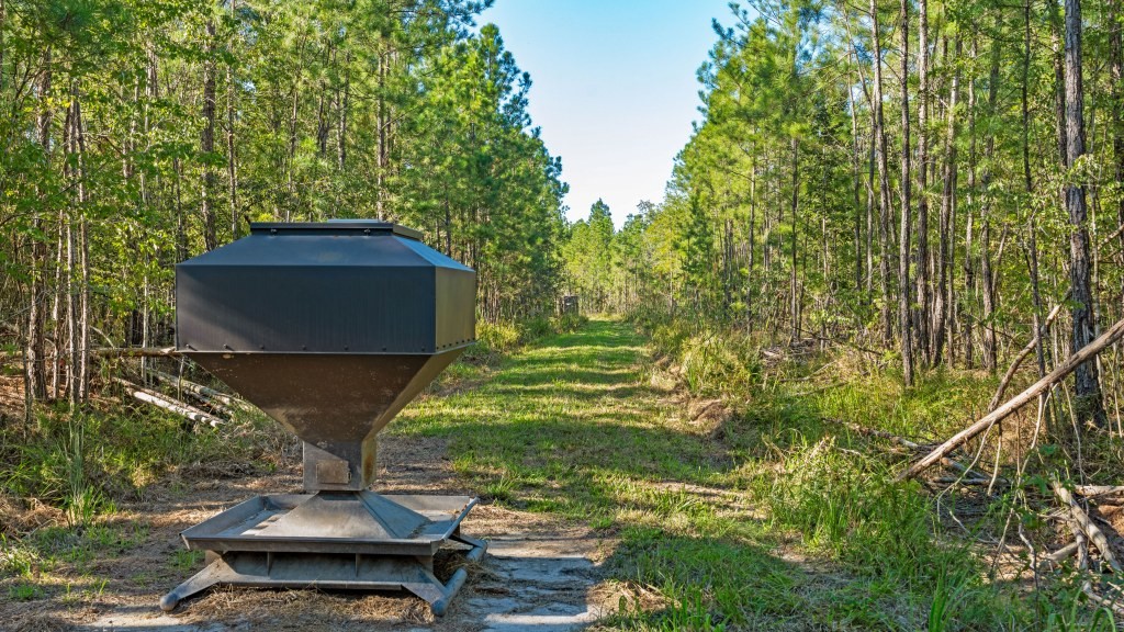 Flatwoods Trail Plantation Photo