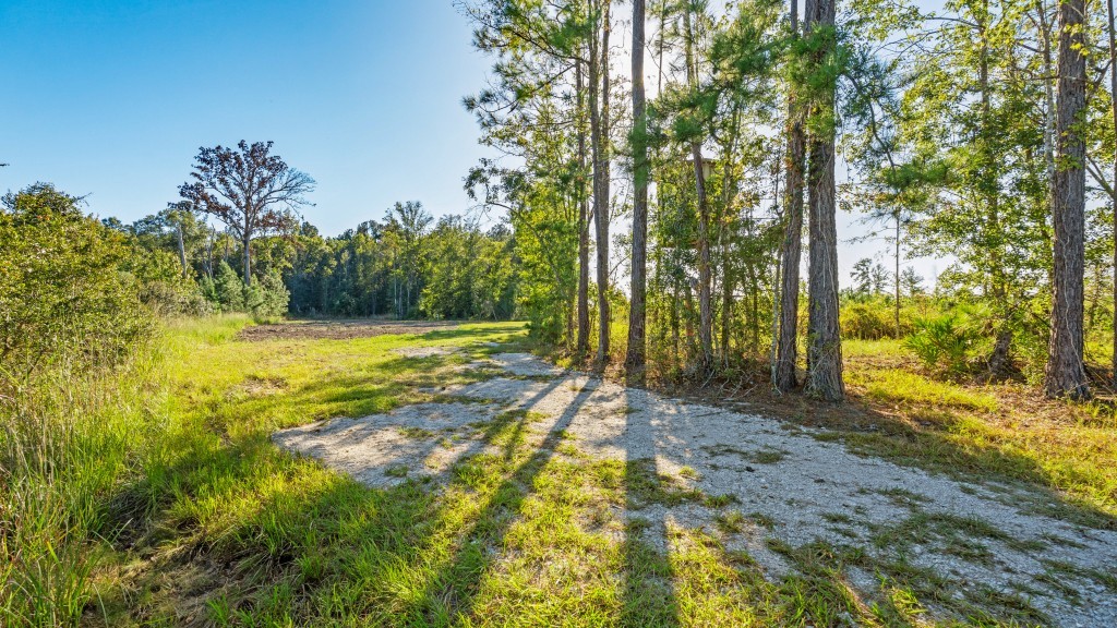 Flatwoods Trail Plantation Photo