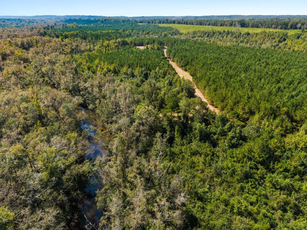 Twin Creeks Photo