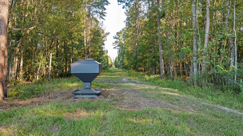 Flatwoods Trail Plantation Photo
