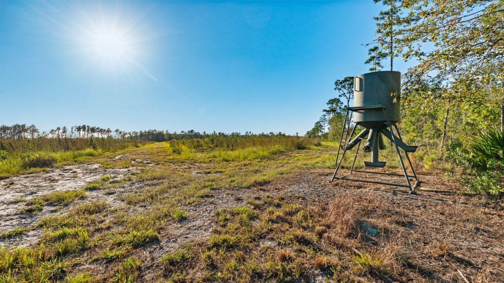 Flatwoods Trail Plantation Photo
