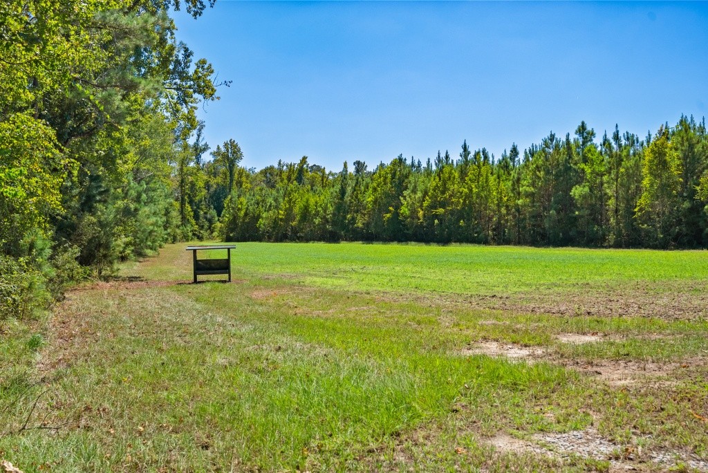 Flatwoods Trail Plantation Photo