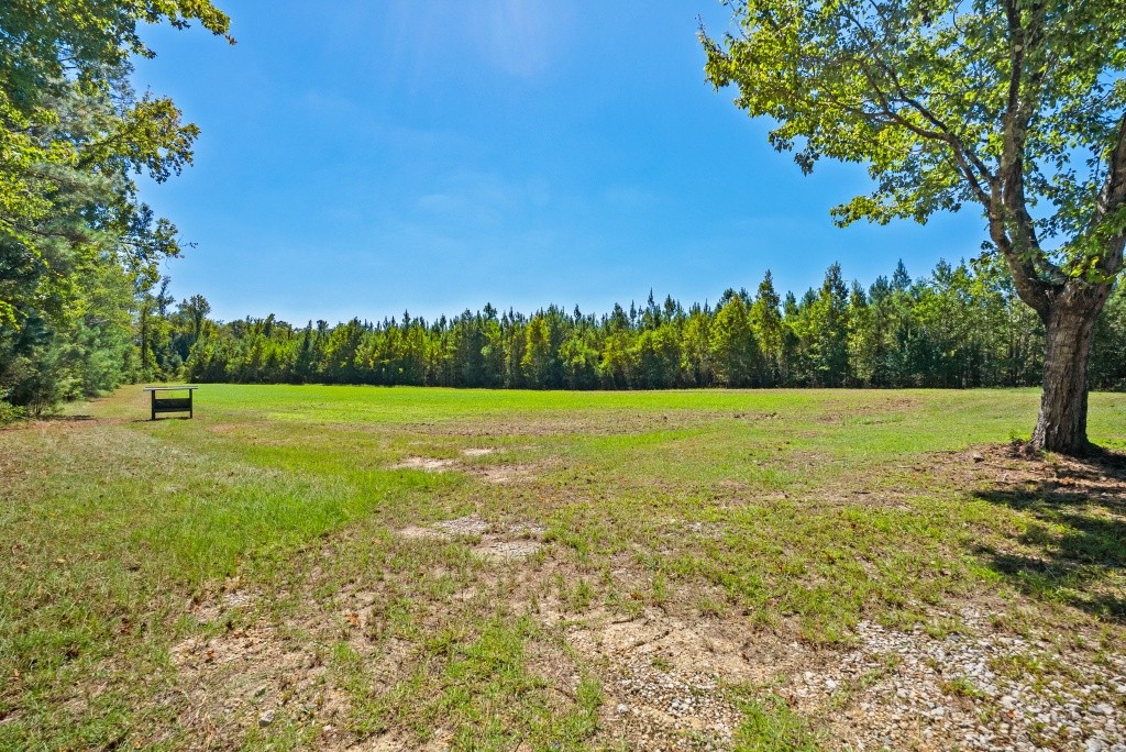 Flatwoods Trail Plantation Photo
