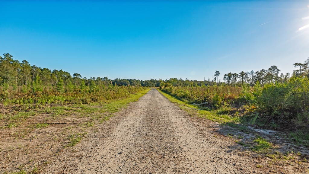 Flatwoods Trail Plantation Photo