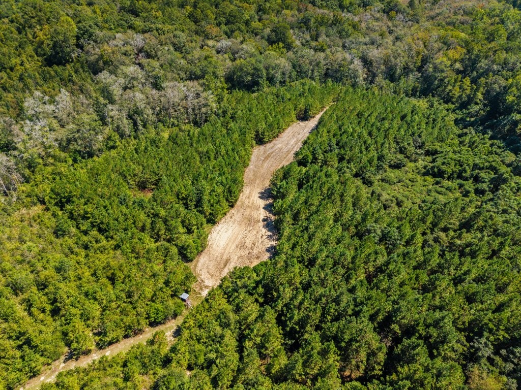 Twin Creeks Photo