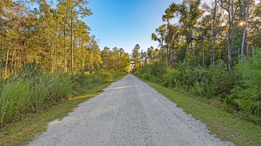 Flatwoods Trail Plantation Photo