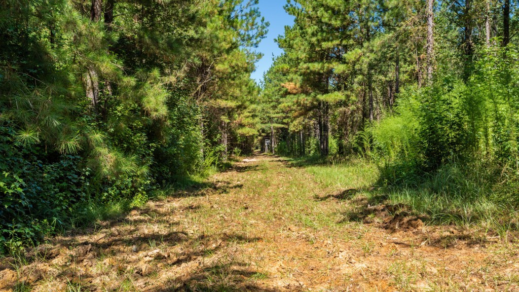 Cedar Creek Farm Photo