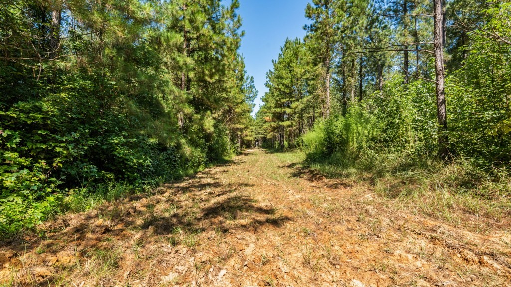 Cedar Creek Farm Photo