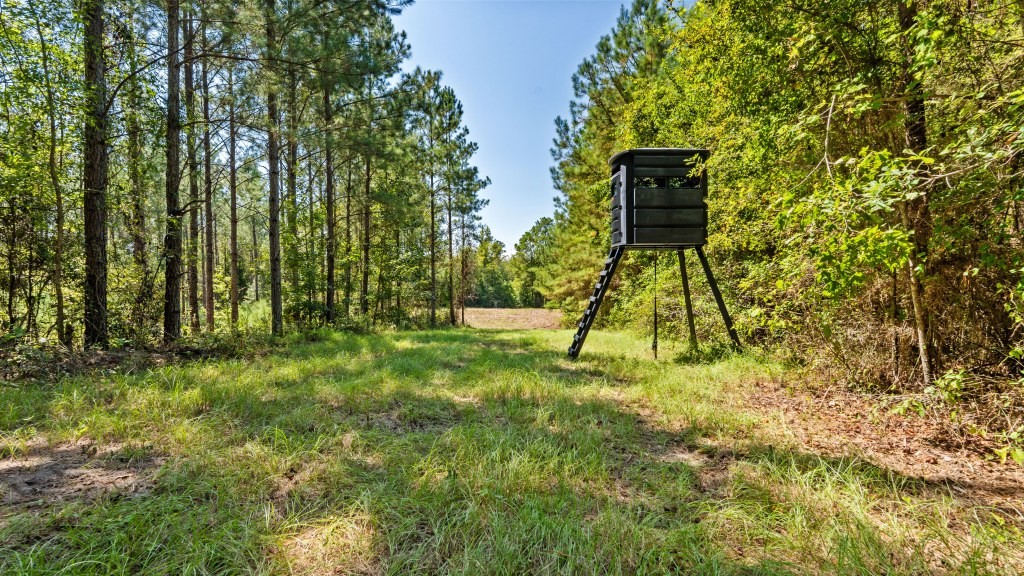 Cedar Creek Farm Photo