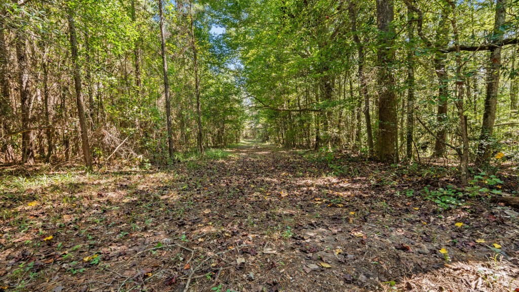 Cedar Creek Farm Photo