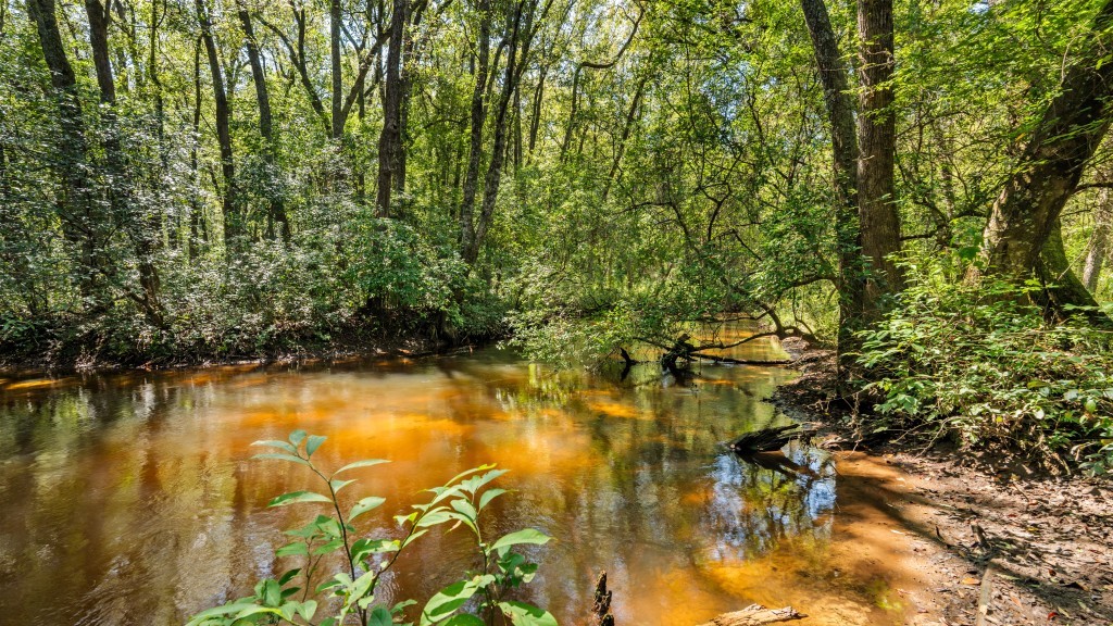 Cedar Creek Farm Photo