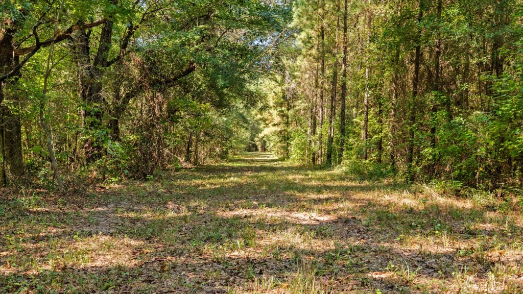 Cedar Creek Farm Photo