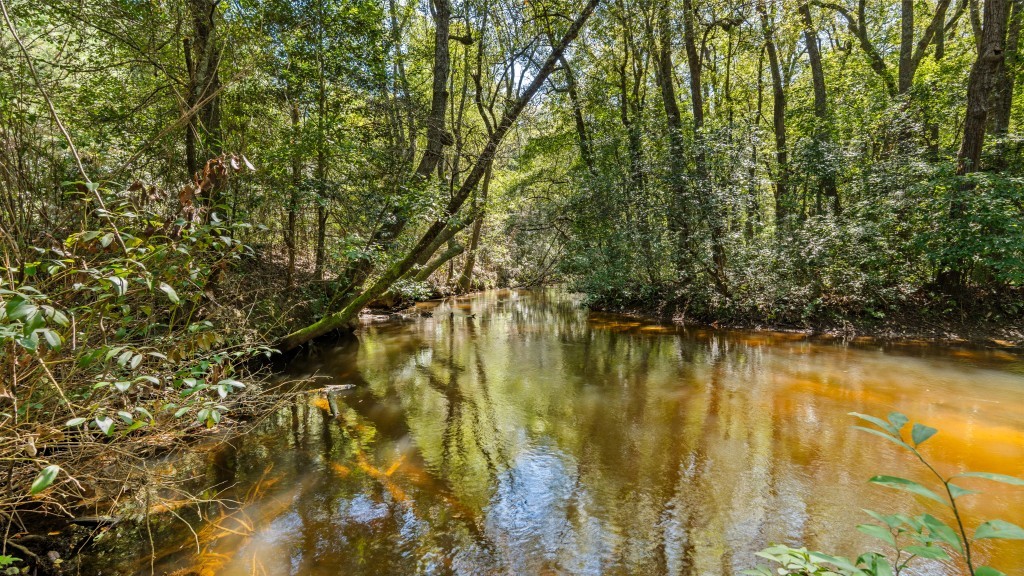 Cedar Creek Farm Photo