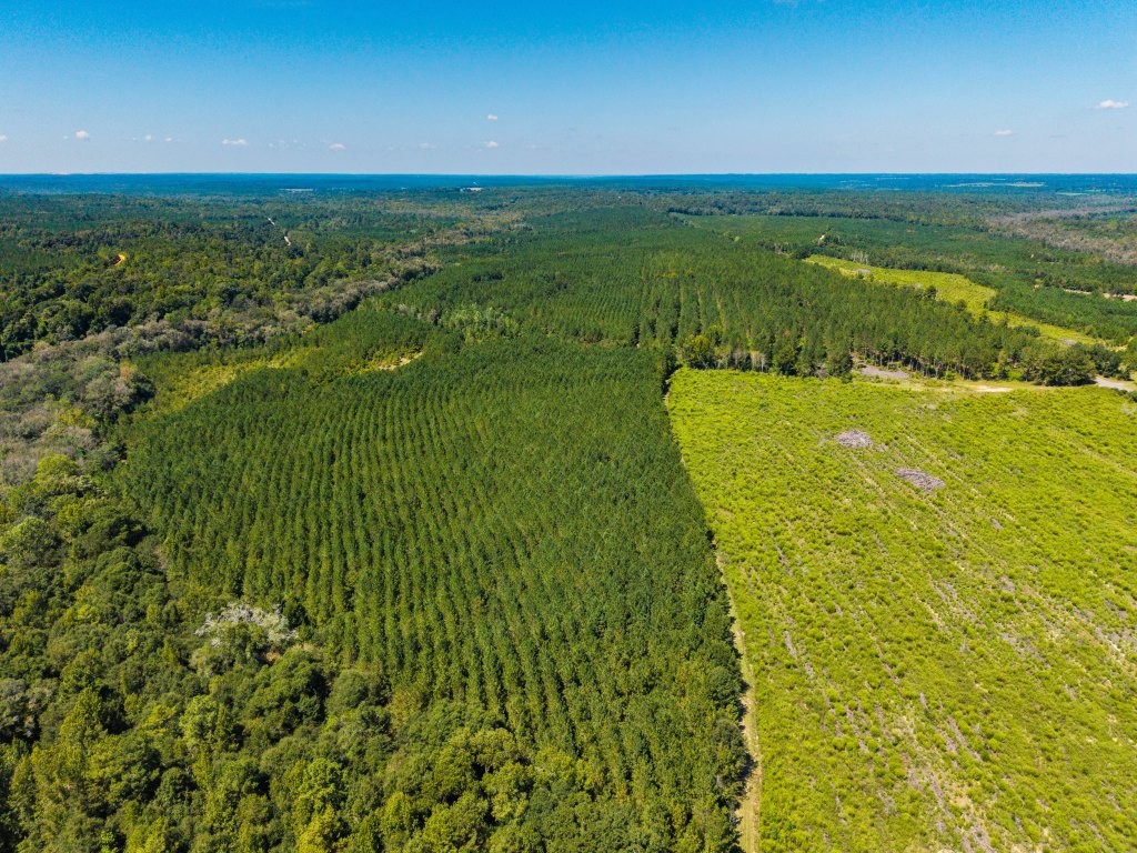 Cedar Creek Farm Photo