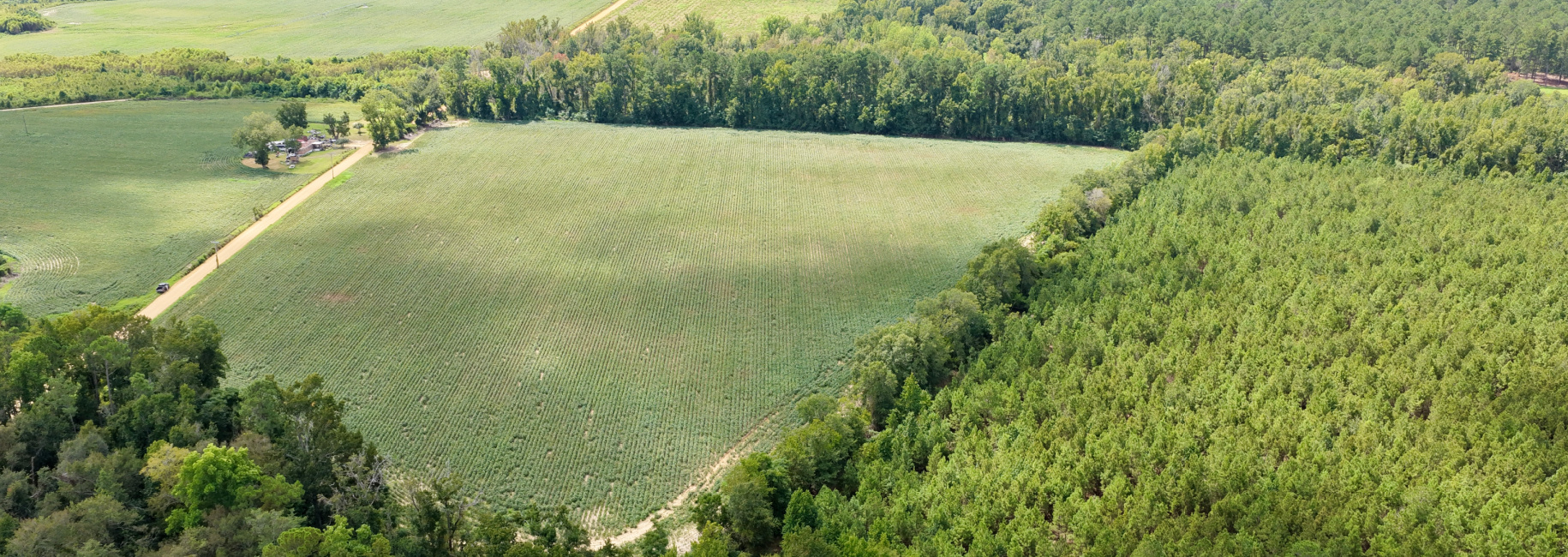 Hendrix Farm Main Photo