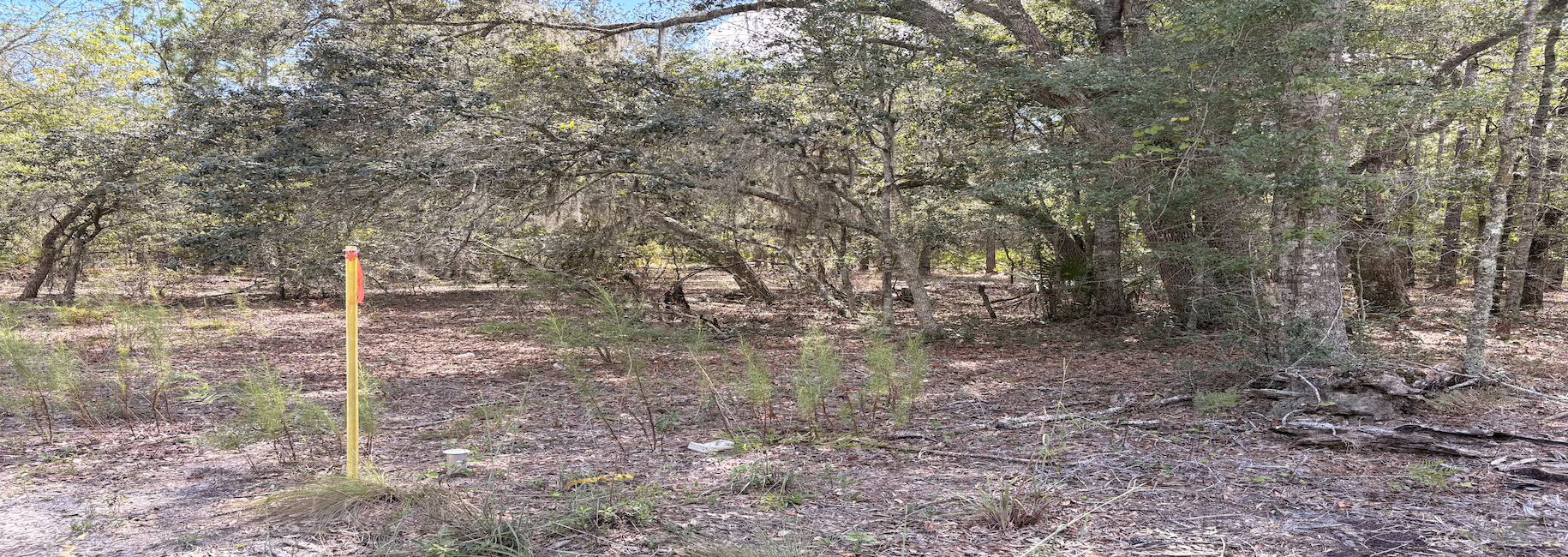 Porter Road – Lot 4 Photo