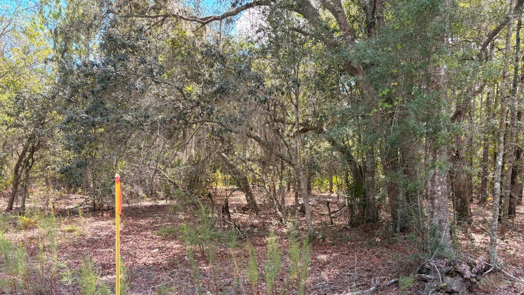 Porter Road – Lot 4 Photo