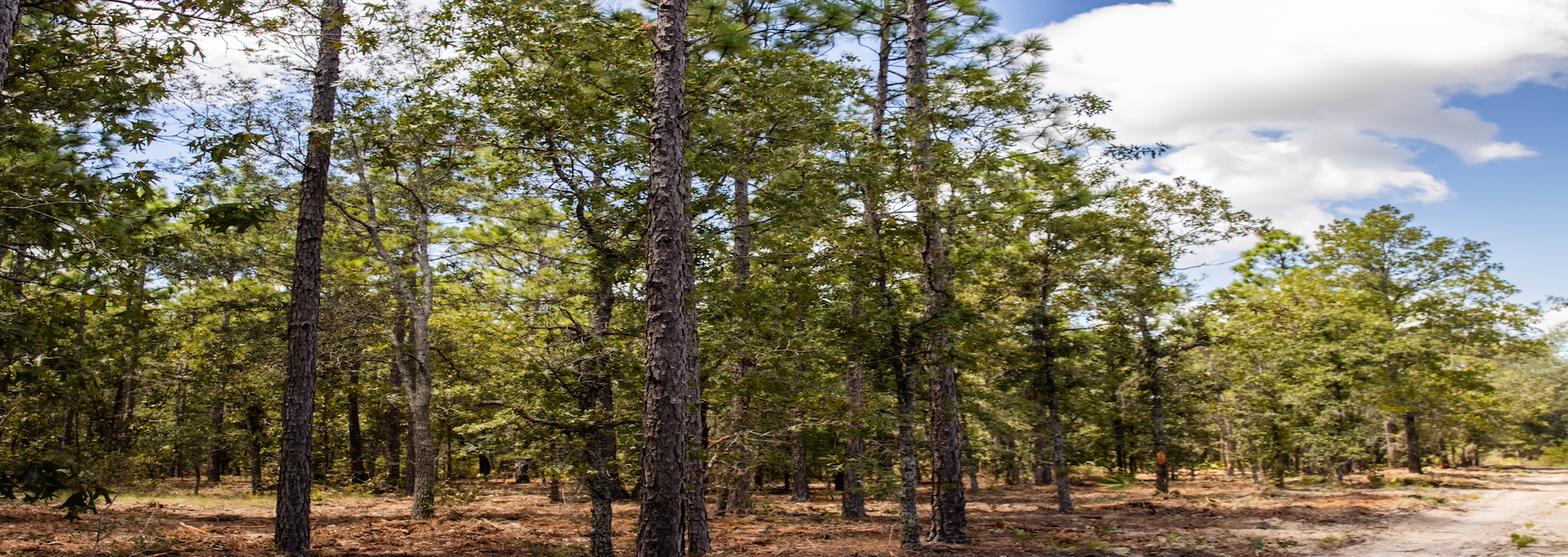 Porter Road – Lot 1 Photo