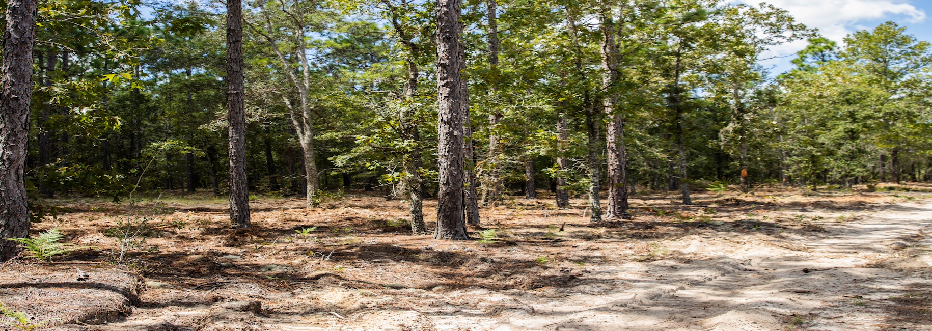 Porter Road – Lot 1 Photo
