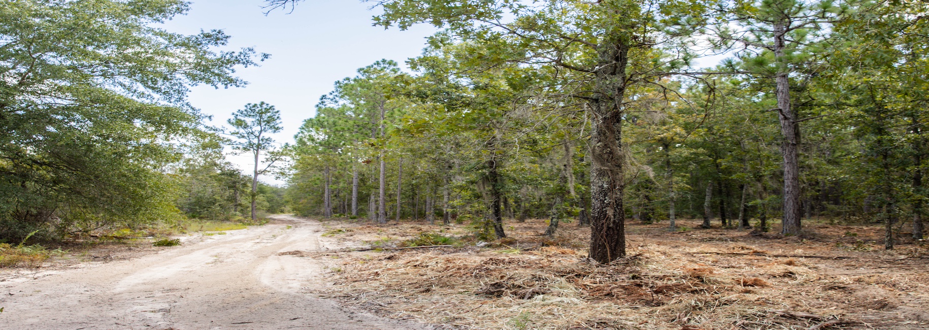 Porter Road – Lot 4 Photo