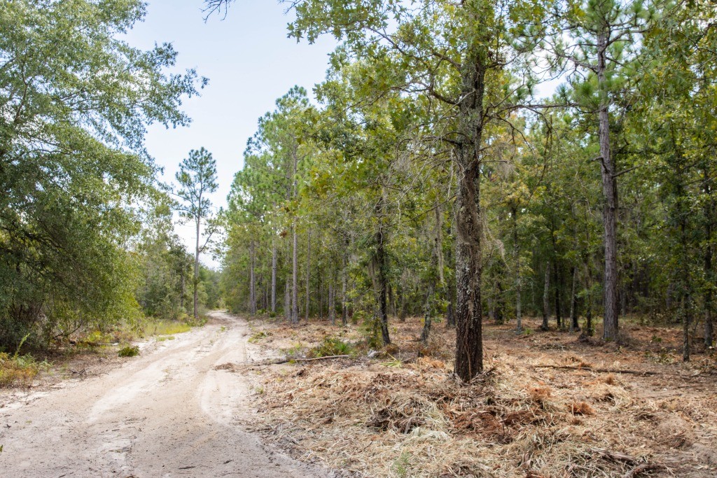 Porter Road – Lot 4 Photo