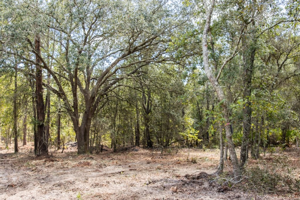 Porter Road – Lot 1 Photo