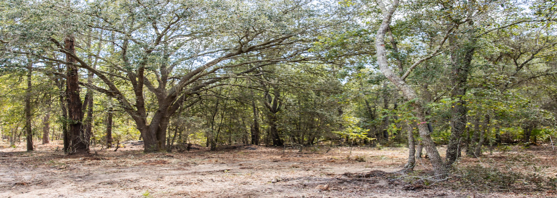 Porter Road – Lot 1 Photo