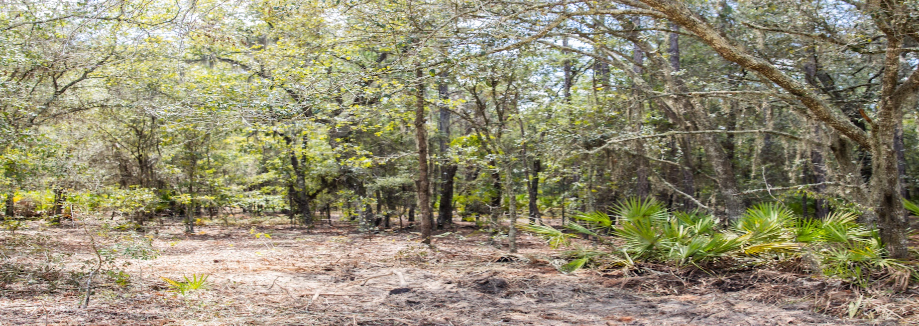 Porter Road – Lot 4 Photo