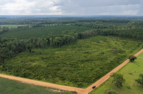 Hendricks Timber – Tract 2