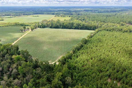 Hendrix Farm