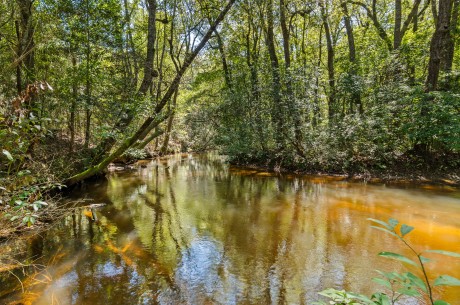Cedar Creek Farm