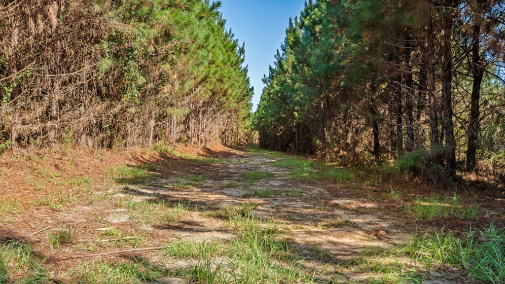 Whitewater Farm Photo