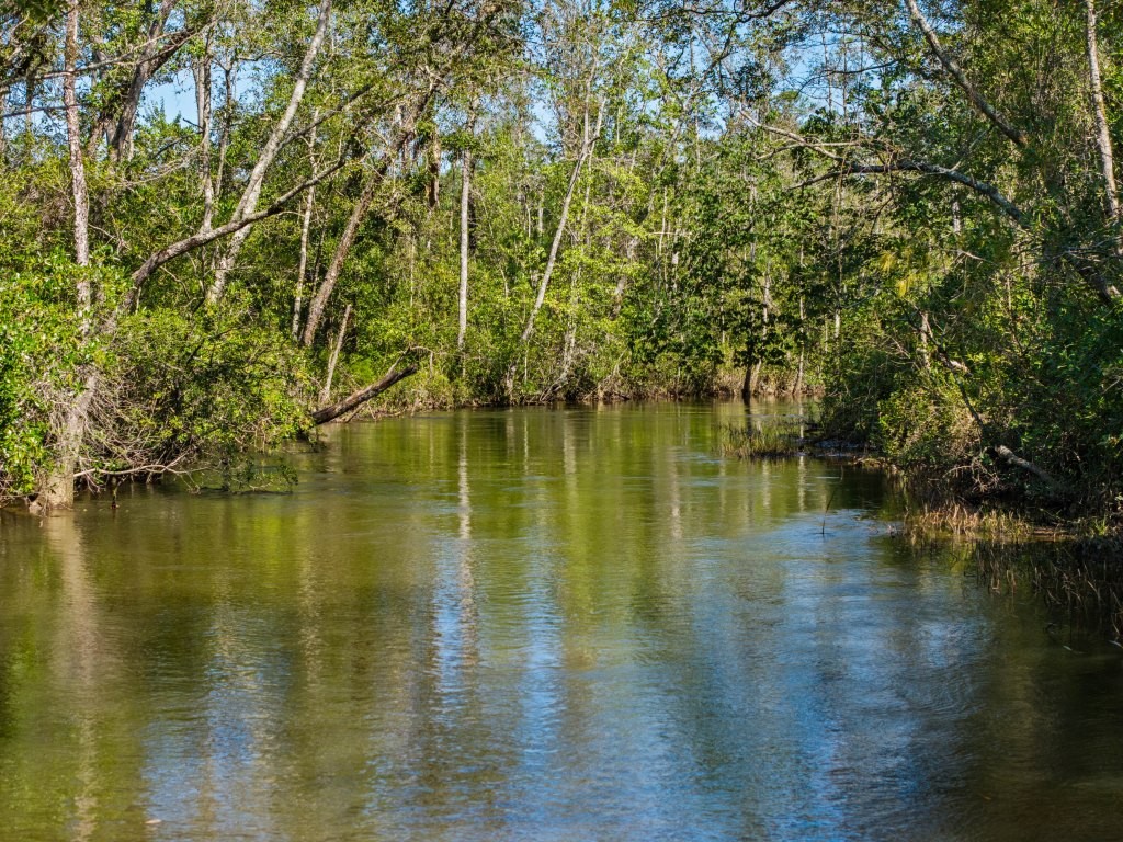 Whitewater Farm Photo