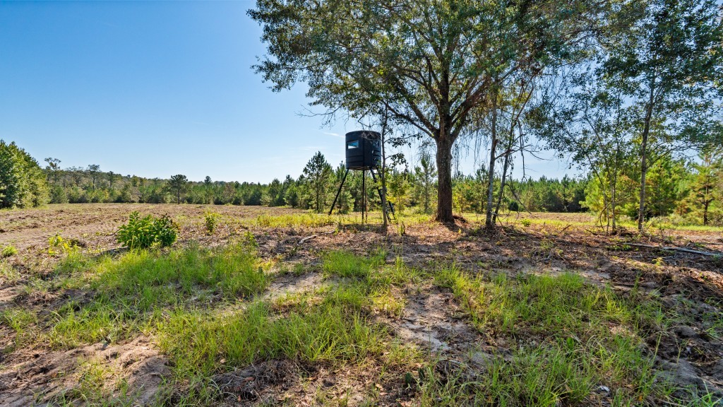 Whitewater Farm Photo