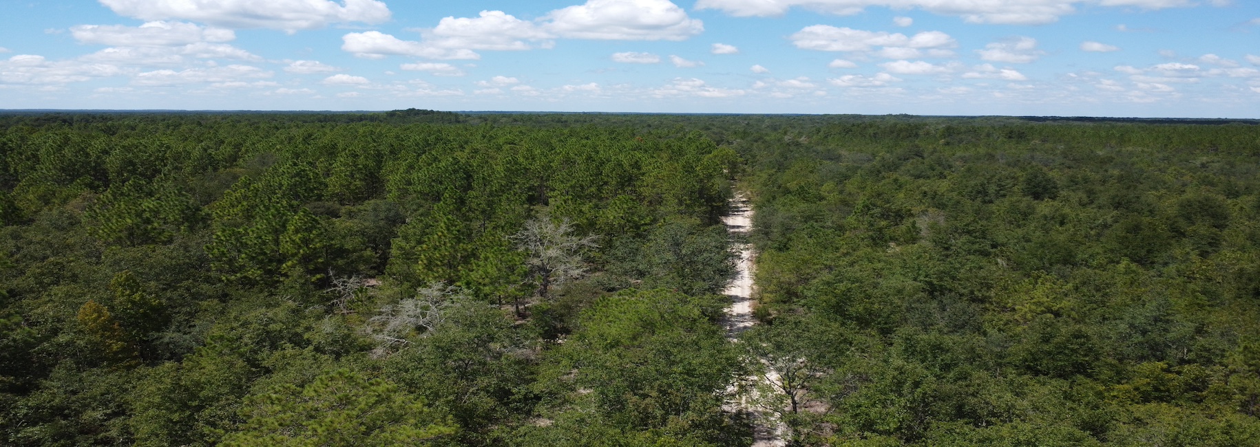 Porter Road – Lot 1 Main Photo