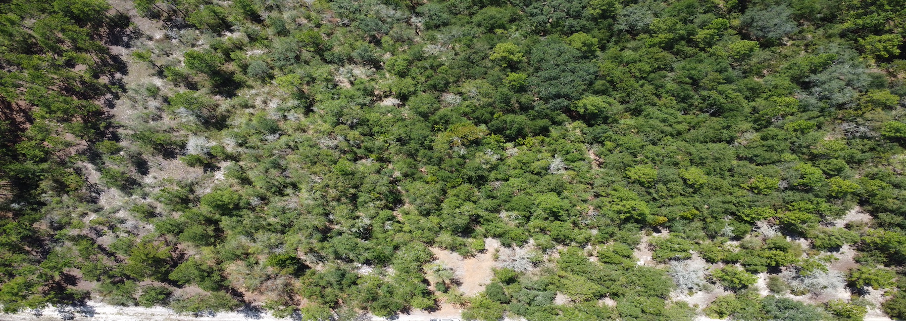 Porter Road – Lot 4 Photo