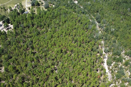 Porter Road – Lot 1