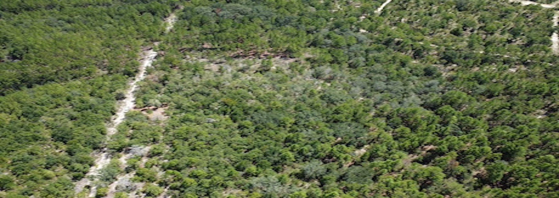Porter Road – Lot 1 Photo