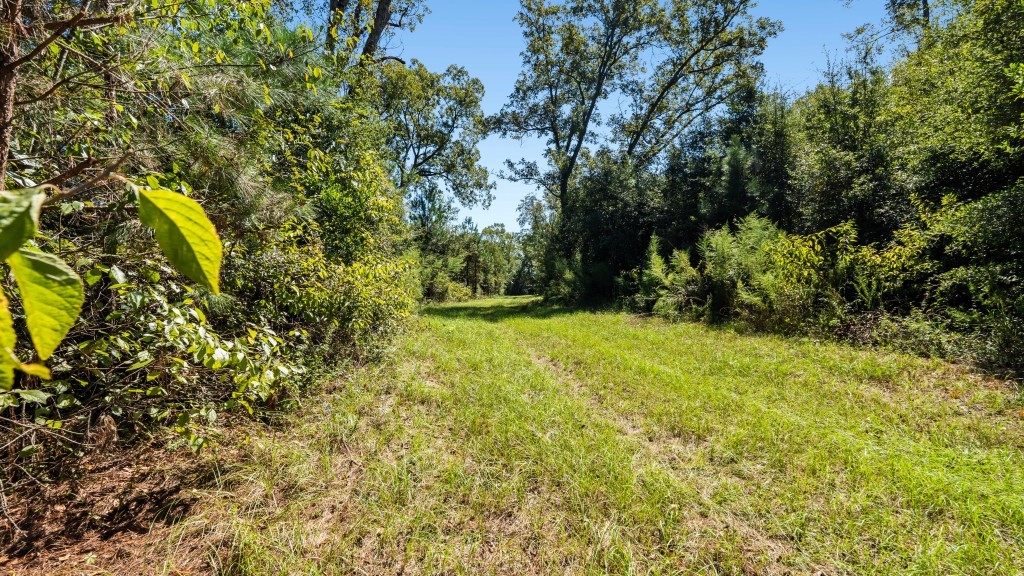 Whitewater Farm Photo