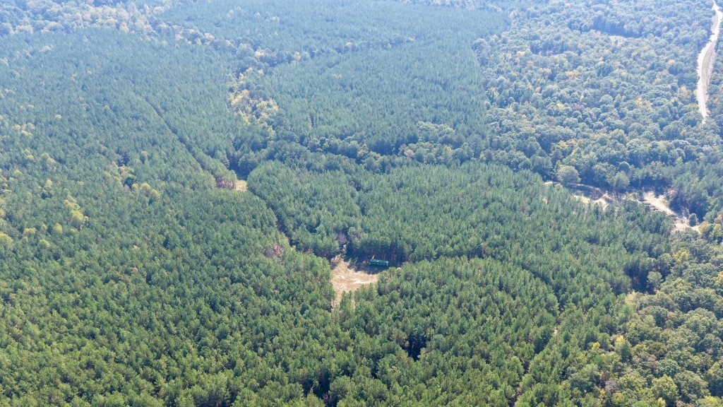 Pine Ridge Photo
