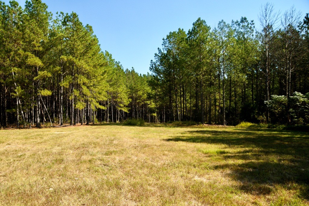 Pine Ridge Photo