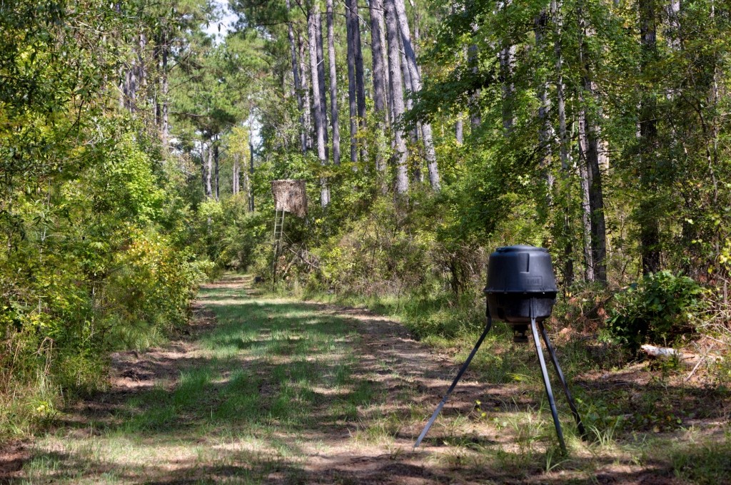 Cherokee Ridge Retreat Photo