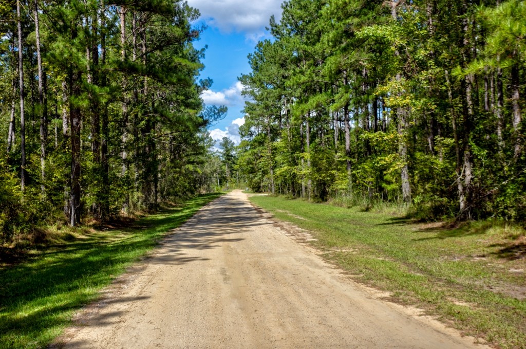 Cherokee Ridge Retreat Photo