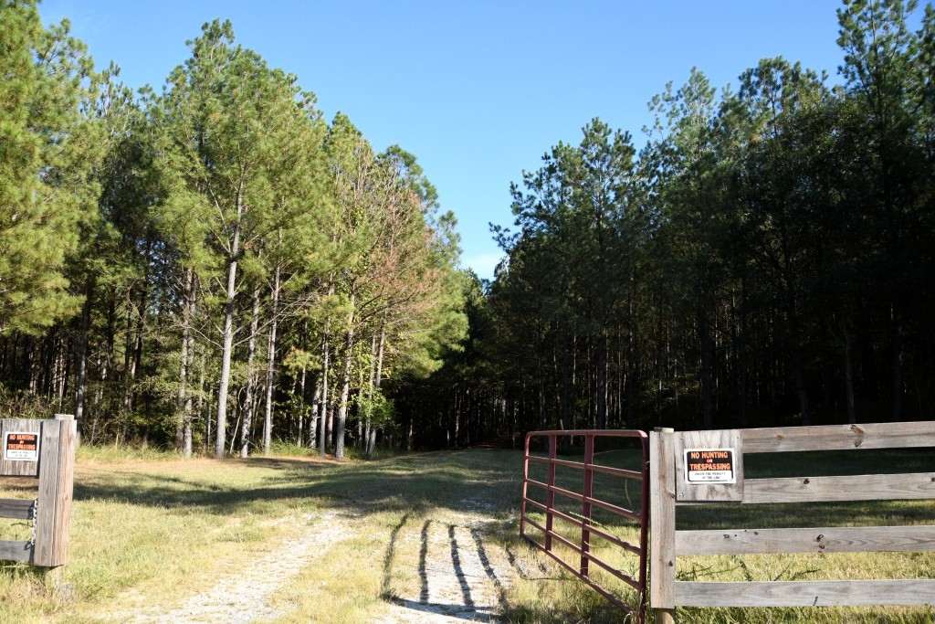 Pine Ridge Photo