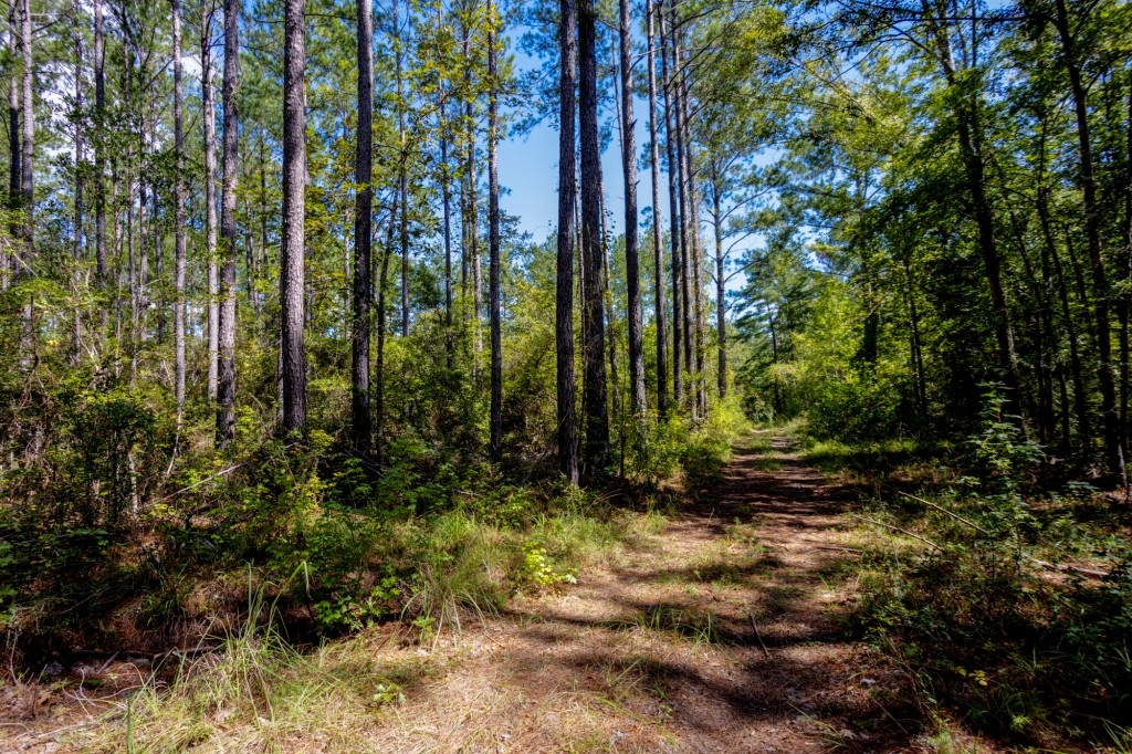 Cherokee Ridge Retreat Photo