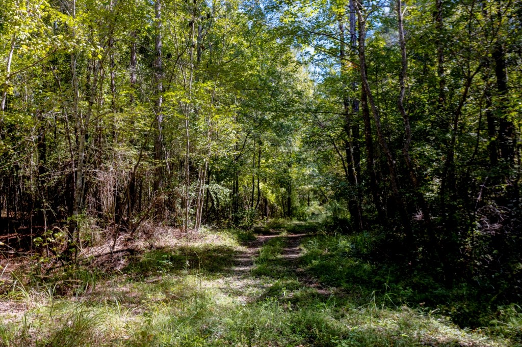 Cherokee Ridge Retreat Photo