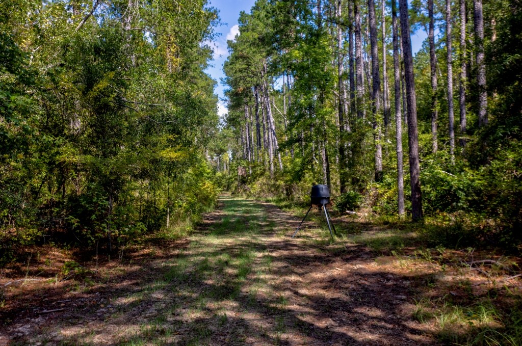Cherokee Ridge Retreat Photo